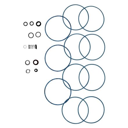 KIT, SEAL & GASKET CH2/4 CVBE/V